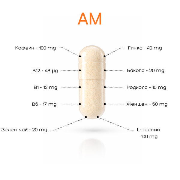 AM | PM